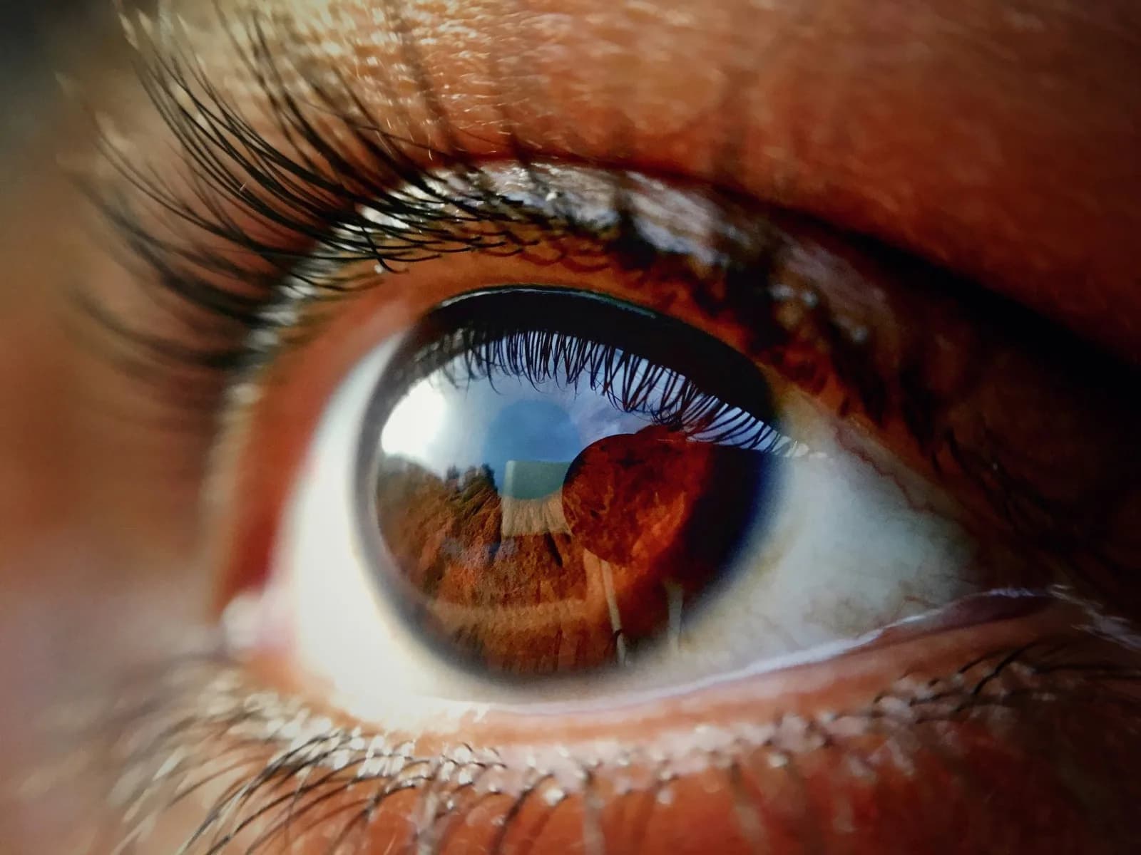 Nahaufnahme eines Auges und der Wimpern